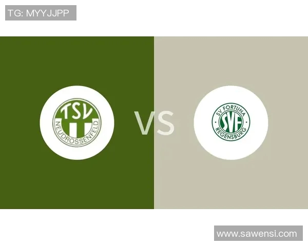 雷根斯堡与菲尔德的精彩对决分析与赛后点评